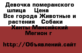 Девочка померанского шпица. › Цена ­ 40 000 - Все города Животные и растения » Собаки   . Ханты-Мансийский,Мегион г.